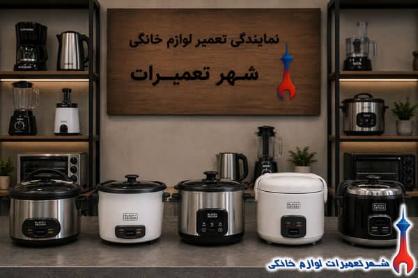 پلوپز های تعمیرشده بلک اند دکر در نمایندگی تعمیرات