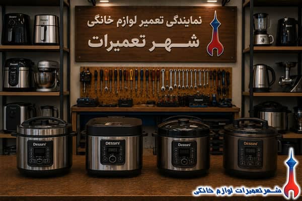 زودپز های تعمیرشده دسینی در نمایندگی تعمیرات