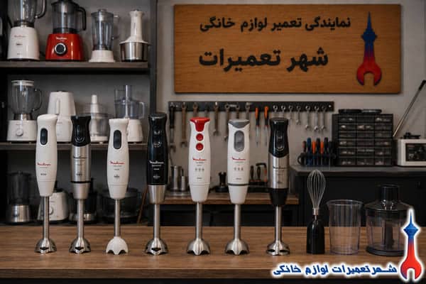 سرویس و رفع خرابی گوشت کوب برقی مولینکس