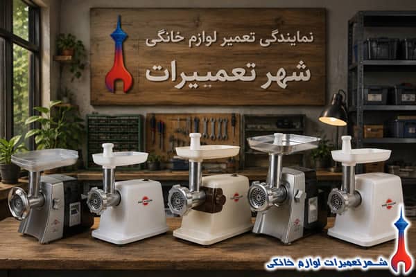 سرویس و رفع خرابی چرخ گوشت پارس خزر