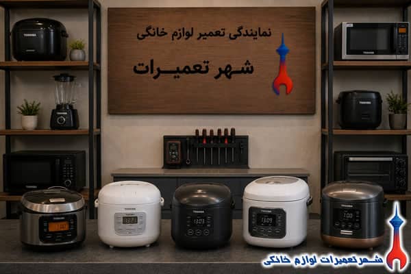 نمونه تعمیرات پلوپز توشیبا