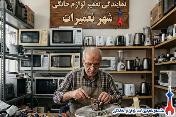 tamir-fan