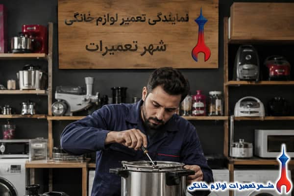 tamir-pressure-cooker