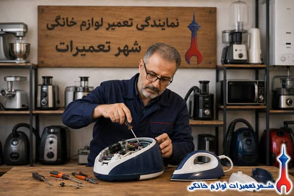 tamir-steam-generator-iron