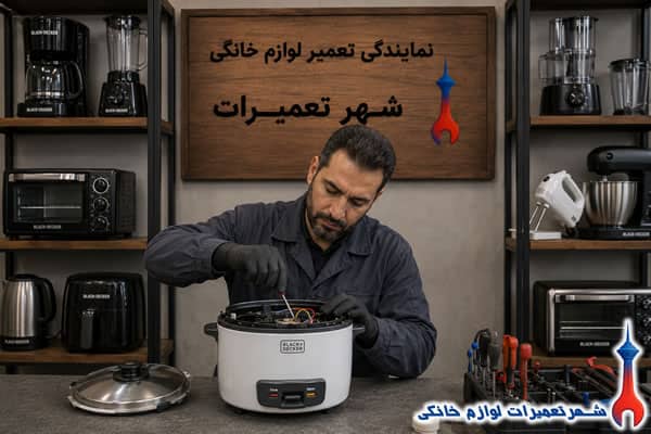 بررسی قطعات داخلی پلوپز بلک اند دکر