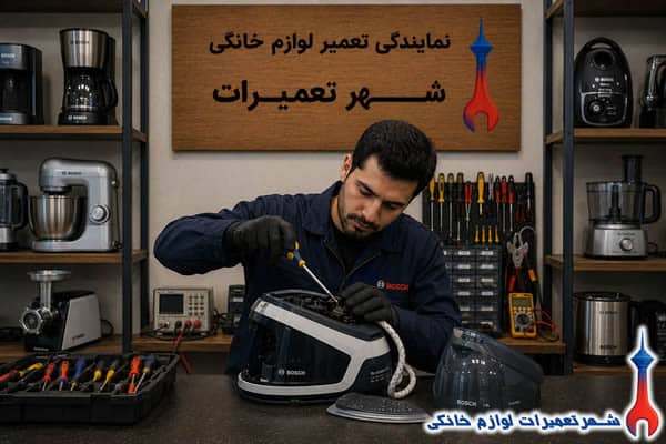 عیبیابی تخصصی اتو مخزن دار بوش توسط تکنسین