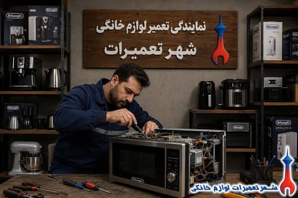بررسی قطعات داخلی ماکروفر دلونگی