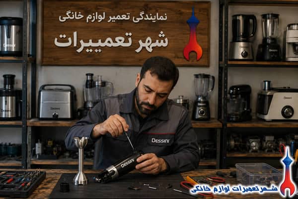 بررسی قطعات داخلی گوشتکوب برقی دسینی