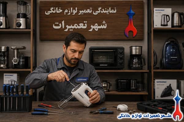 عیب‌یابی تخصصی همزن برقی گوسونیک توسط تکنسین