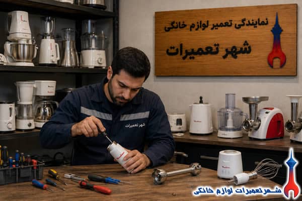 عیبیابی تخصصی گوشت کوب برقی مولینکس توسط تکنسین