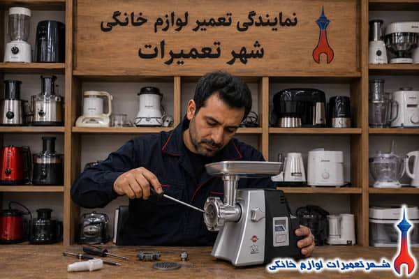 عیب یابی تخصصی چرخ گوشت پارس خزر توسط تکنسین