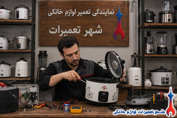 بررسی قطعات داخلی پلوپز پارس خزر