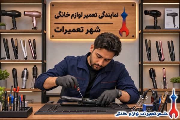 بررسی قطعات داخلی اتو مو پرومکس