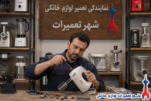 عیب یابی تخصصی همزن برقی سانی توسط تکنسین