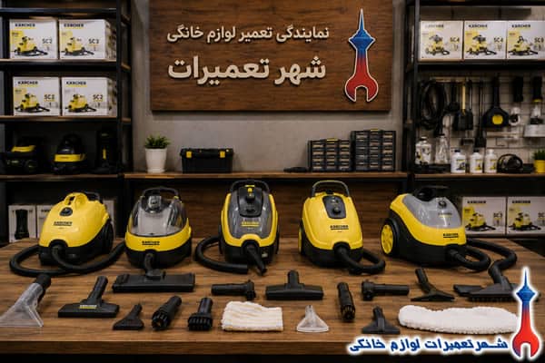 سرویس و رفع خرابی بخارشوی کارچر