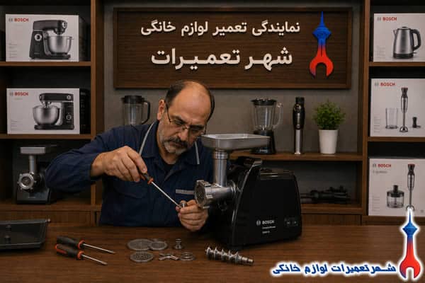 بررسی قطعات داخلی چرخ گوشت بوش