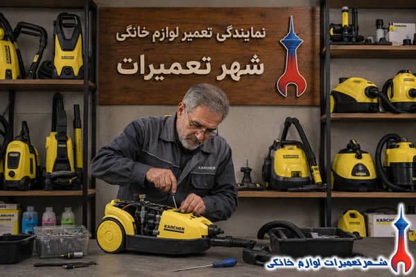 عیب یابی تخصصی بخارشوی کارچر توسط تکنسین