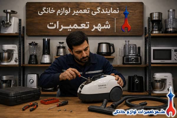 تعمیر تخصصی بخارشوی کنوود