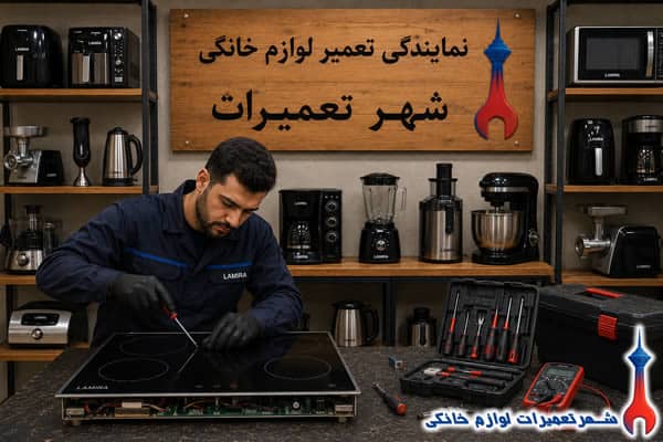 تکنسین در حال بررسی اجاق برقی لامیرا