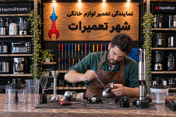 تعمیرکار در حال بررسی گوشت کوب برقی همیلتون Hamilton
